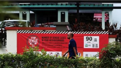 سنغافورة تسجل قرابة 18 ألف إصابة بحمى الضنك منذ مطلع العام الجاري