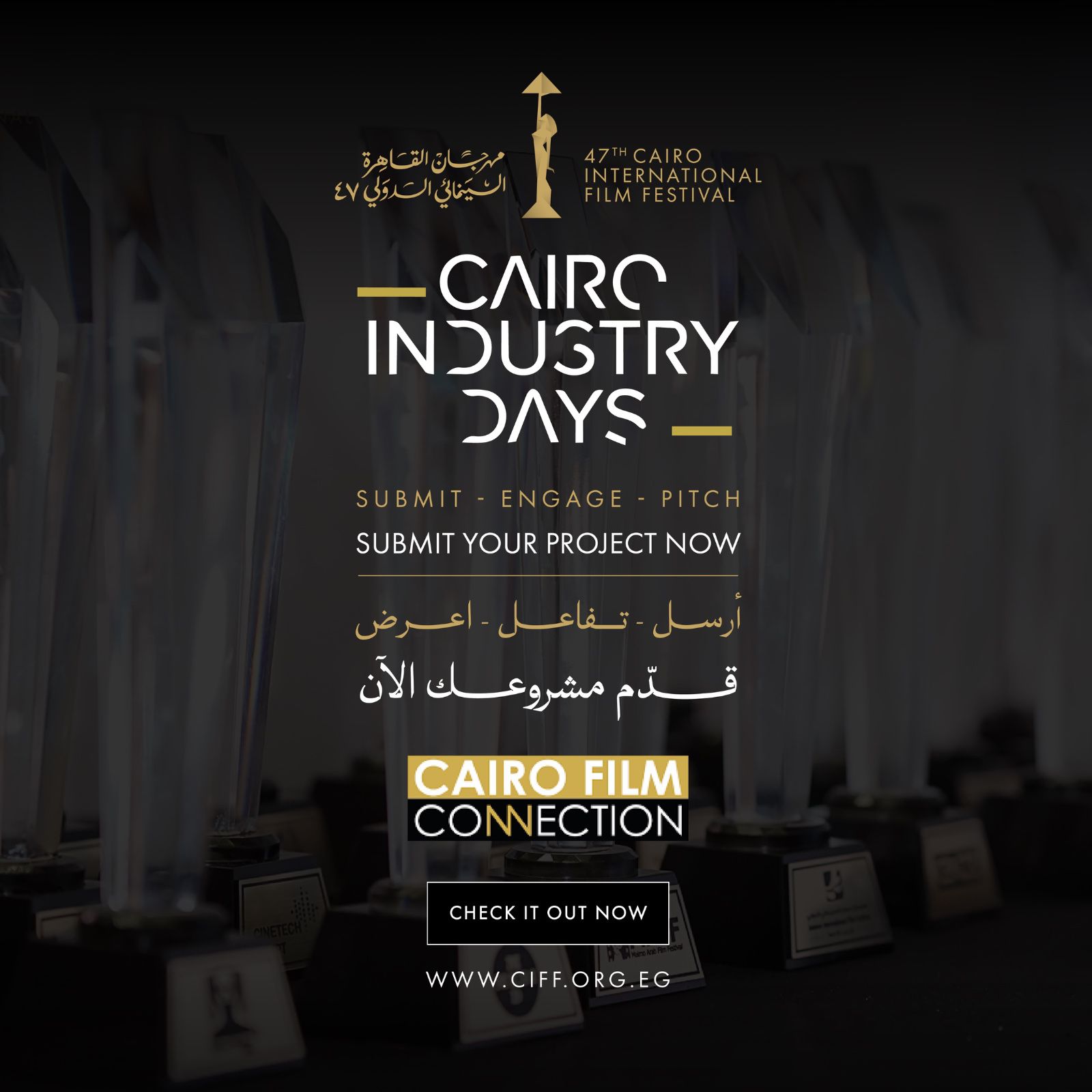 Cairo International Film Festival Opens Submissions for Twelfth Edition of Cairo Film Connection