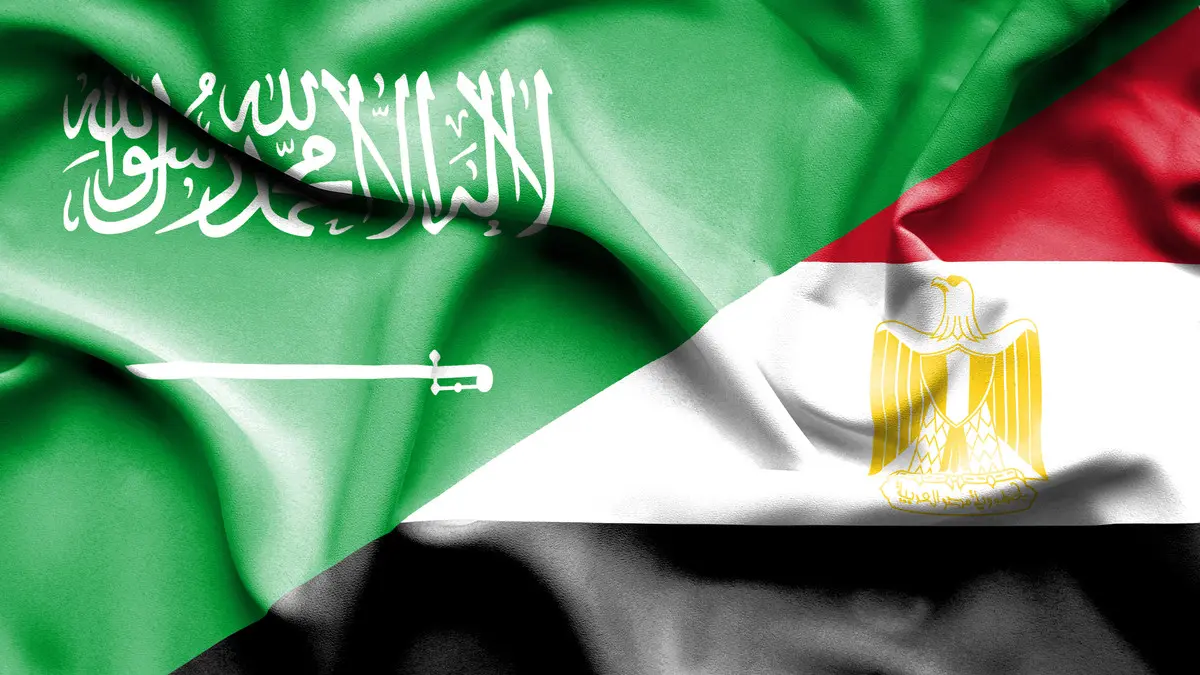 تكامل اقتصادي في مواجهة الأزمات: مصر والسعودية تعززان أمنهما الغذائي بآليات طوارئ واستثمارات أفريقية